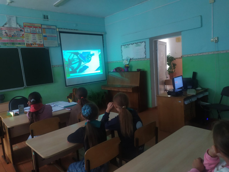День двенадцатый.